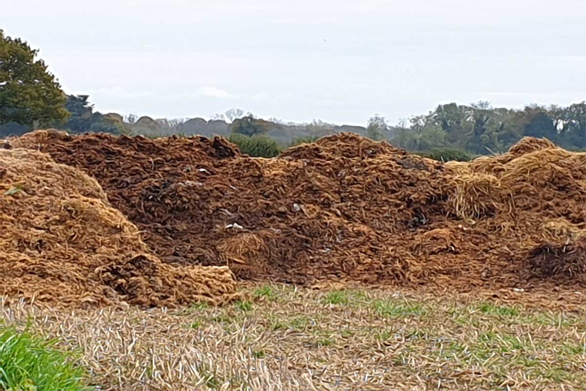 Farm Yard Manure in Field