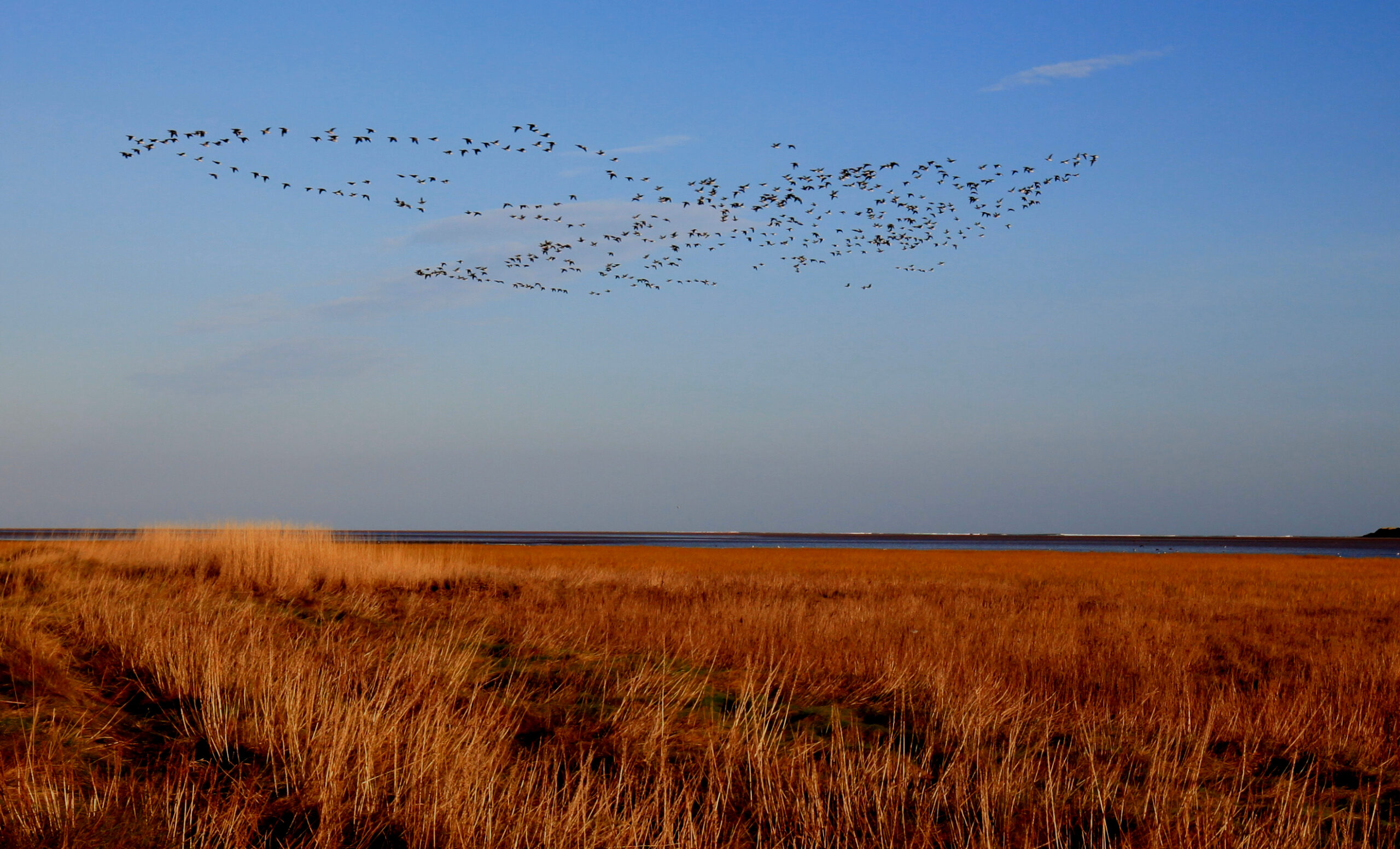 LNNR landscape