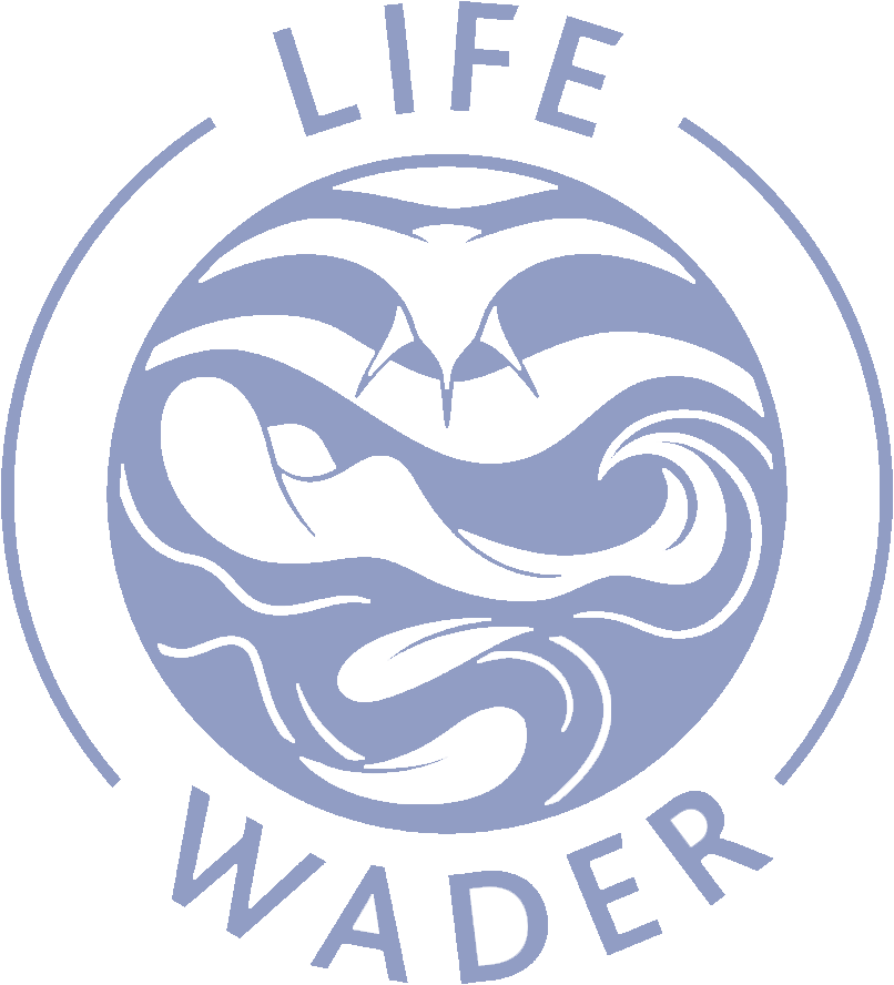 Lindisfarne LIFE WADER Logo