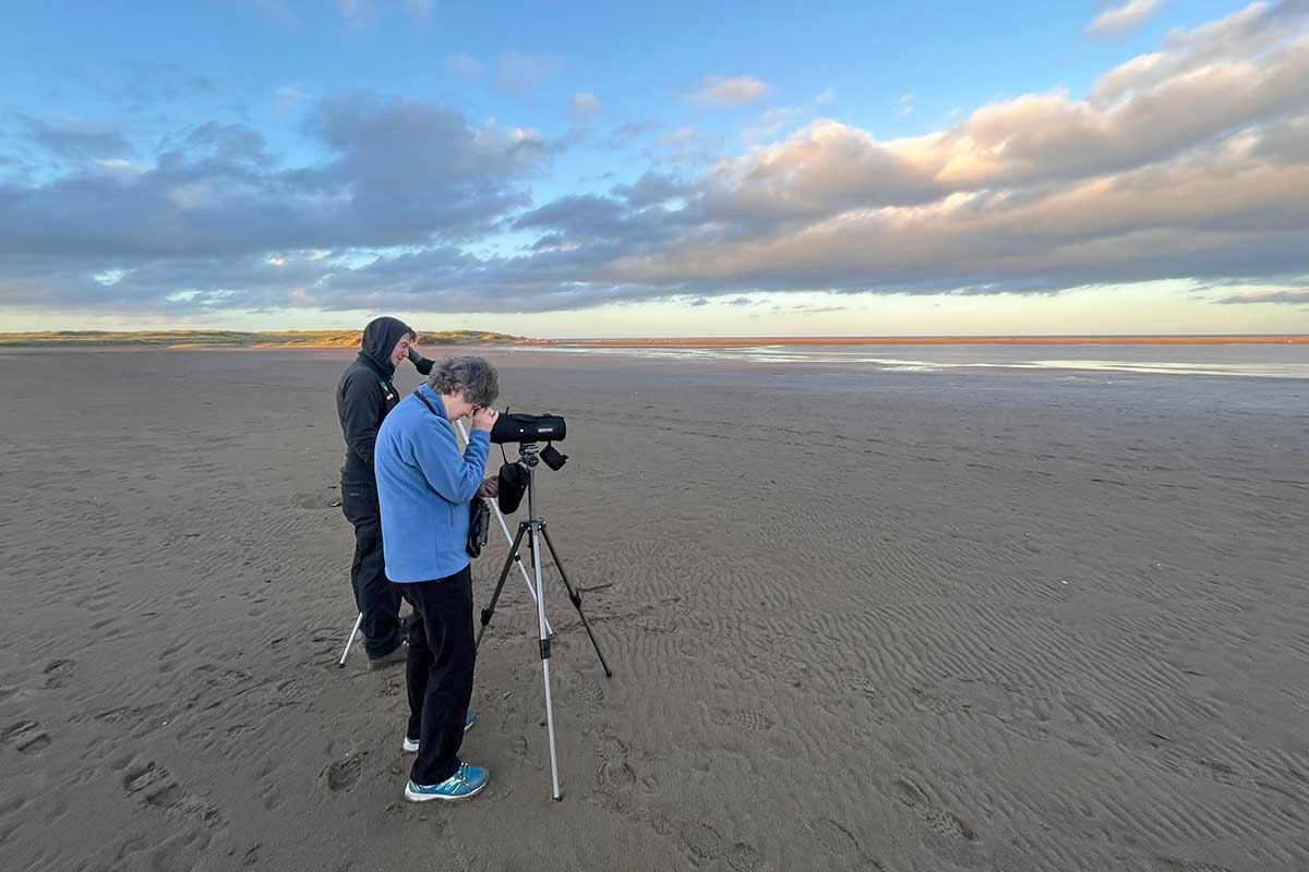 Volunteer Bird Spotters