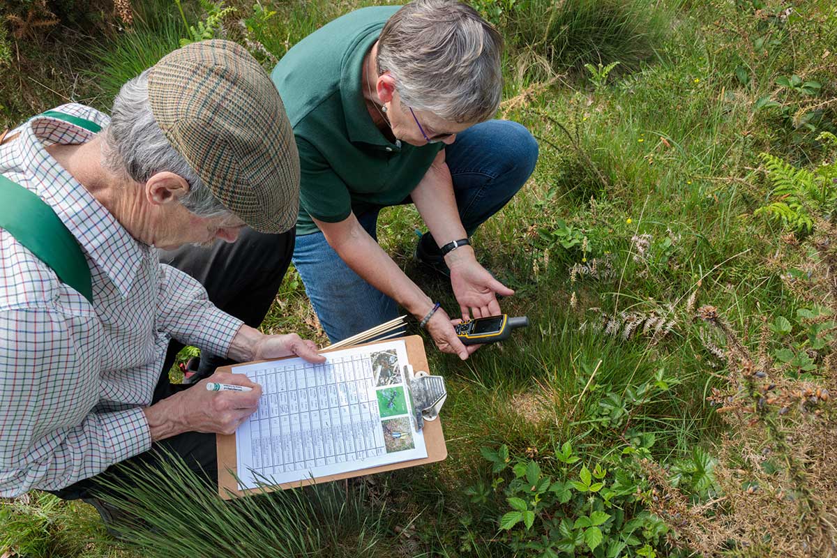 Wildlife Checking with Volunteers