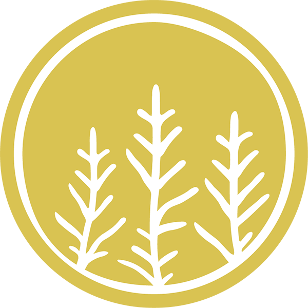Macroalgae Graphic