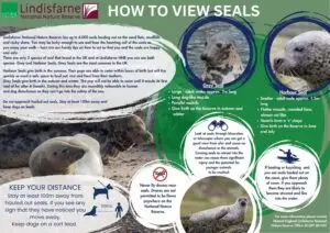 How to View Seals
